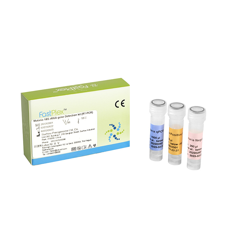 四种疟原虫核酸联合检测试剂盒