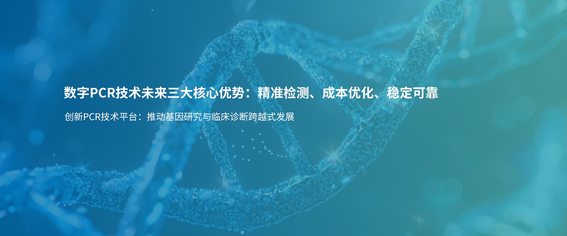 banner修改-02